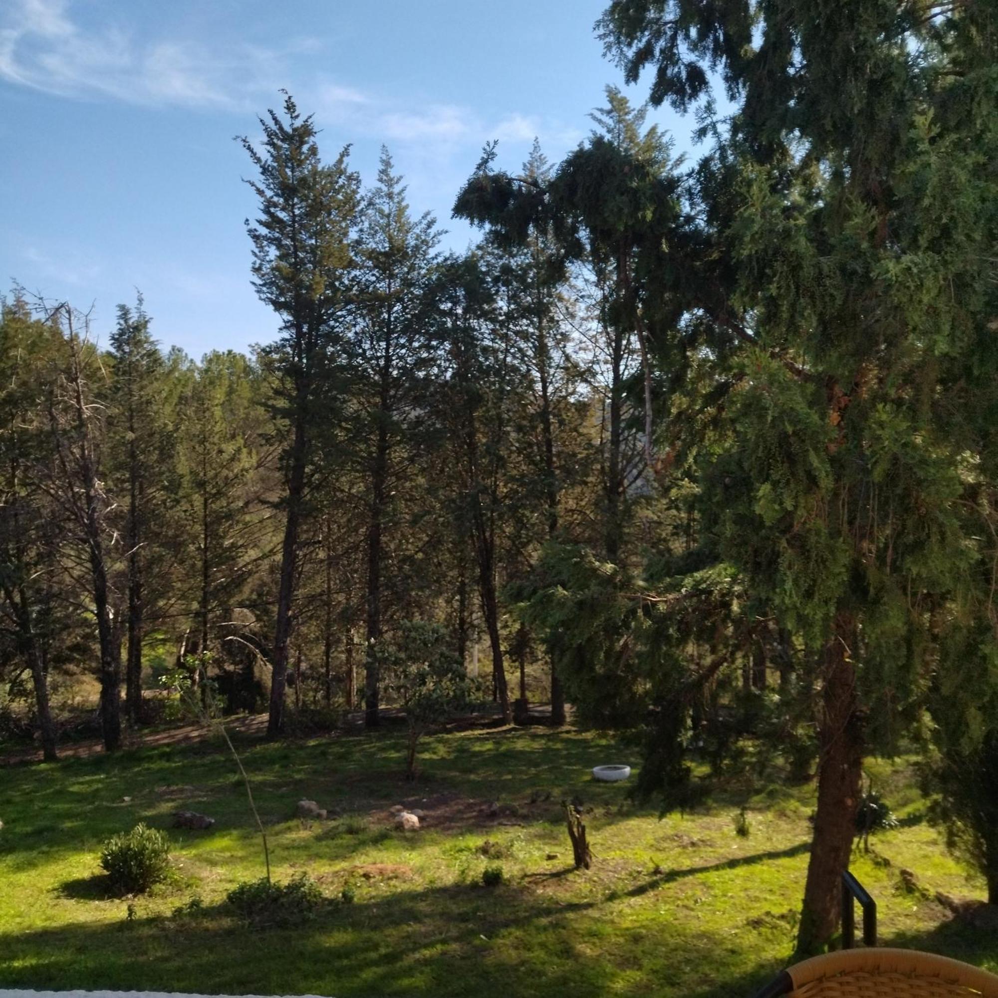科爾多瓦Bonita Casa Blanca En El Bosque.别墅 外观 照片
