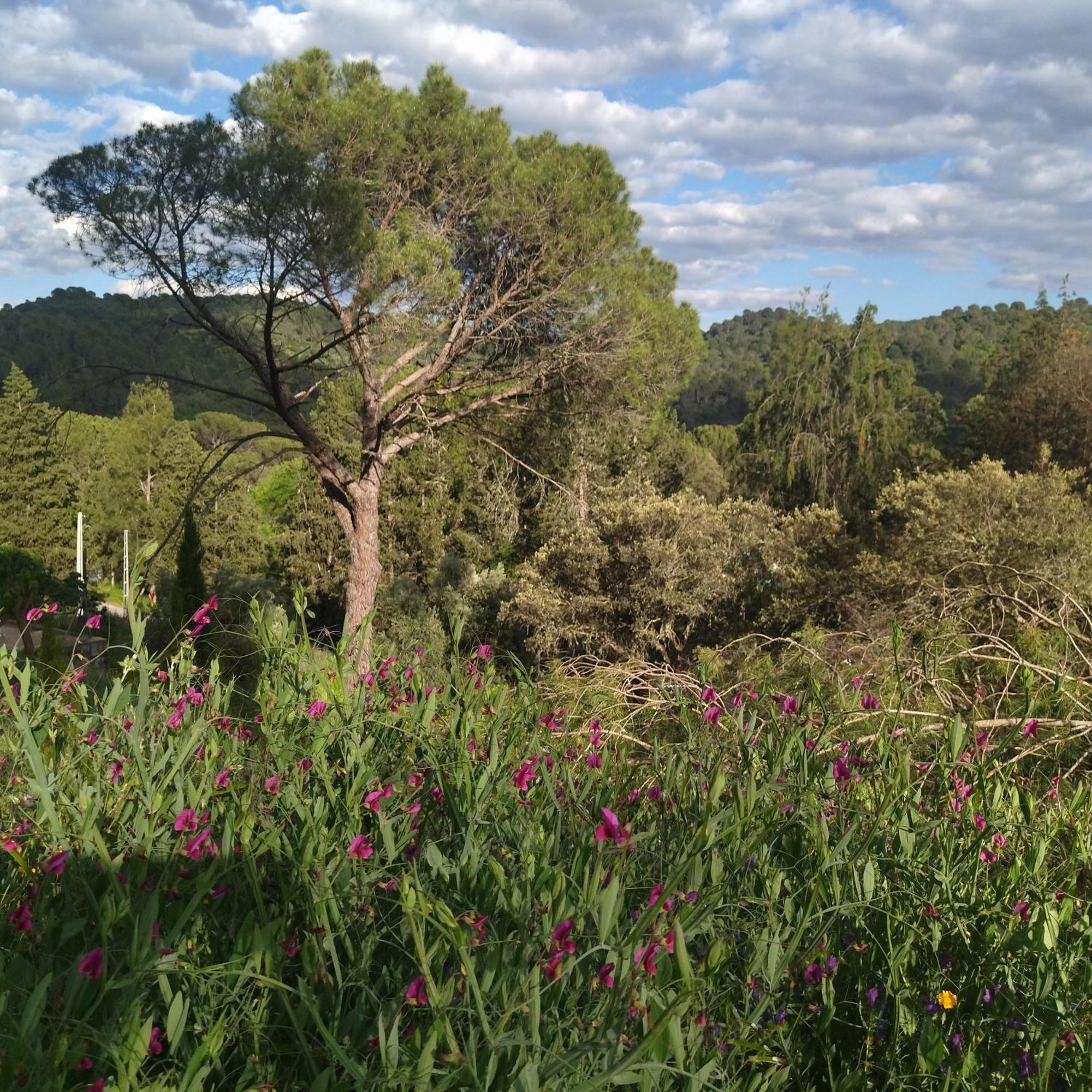 科爾多瓦Bonita Casa Blanca En El Bosque.别墅 外观 照片